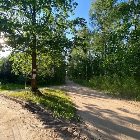 Lesna Osada -dominikowo -sauna , Balia