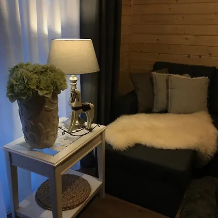 Lesna Osada -dominikowo -sauna , Balia