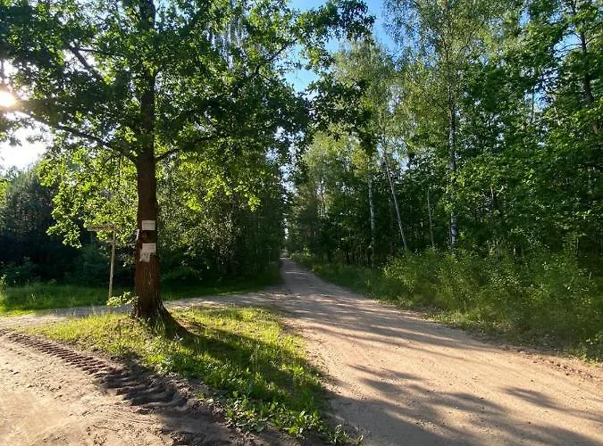 Lesna Osada -dominikowo -sauna , Balia