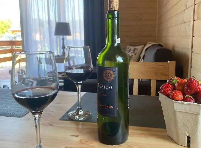 Vakantiehuis Lesna Osada -dominikowo -sauna , Balia *